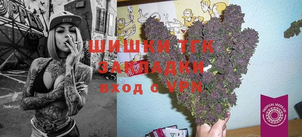 спиды Арсеньев