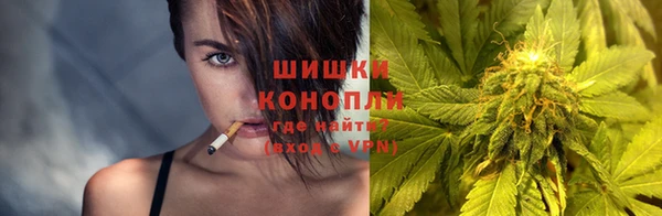 дживик Аркадак