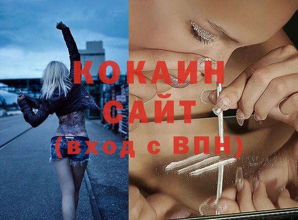 дурь Ельня