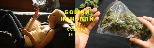 дживик Аркадак