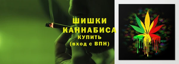 дживик Аркадак