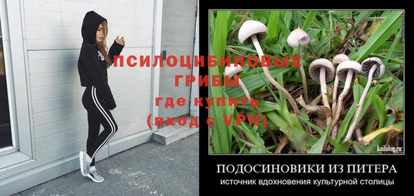 спиды Арсеньев