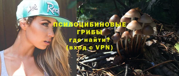 спиды Арсеньев