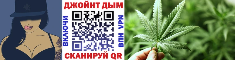 закладка  Снежногорск  Канабис ГИДРОПОН 